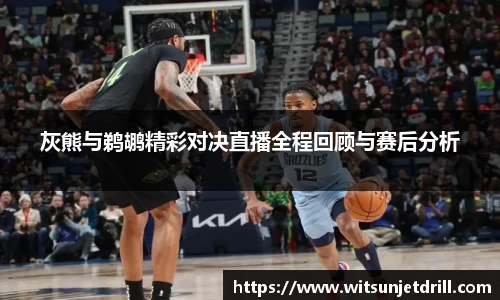 灰熊与鹈鹕精彩对决直播全程回顾与赛后分析